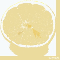 nfm001-cover.jpg