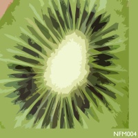 nfm004-cover.jpg