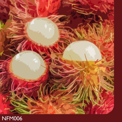 nfm006-cover.jpg