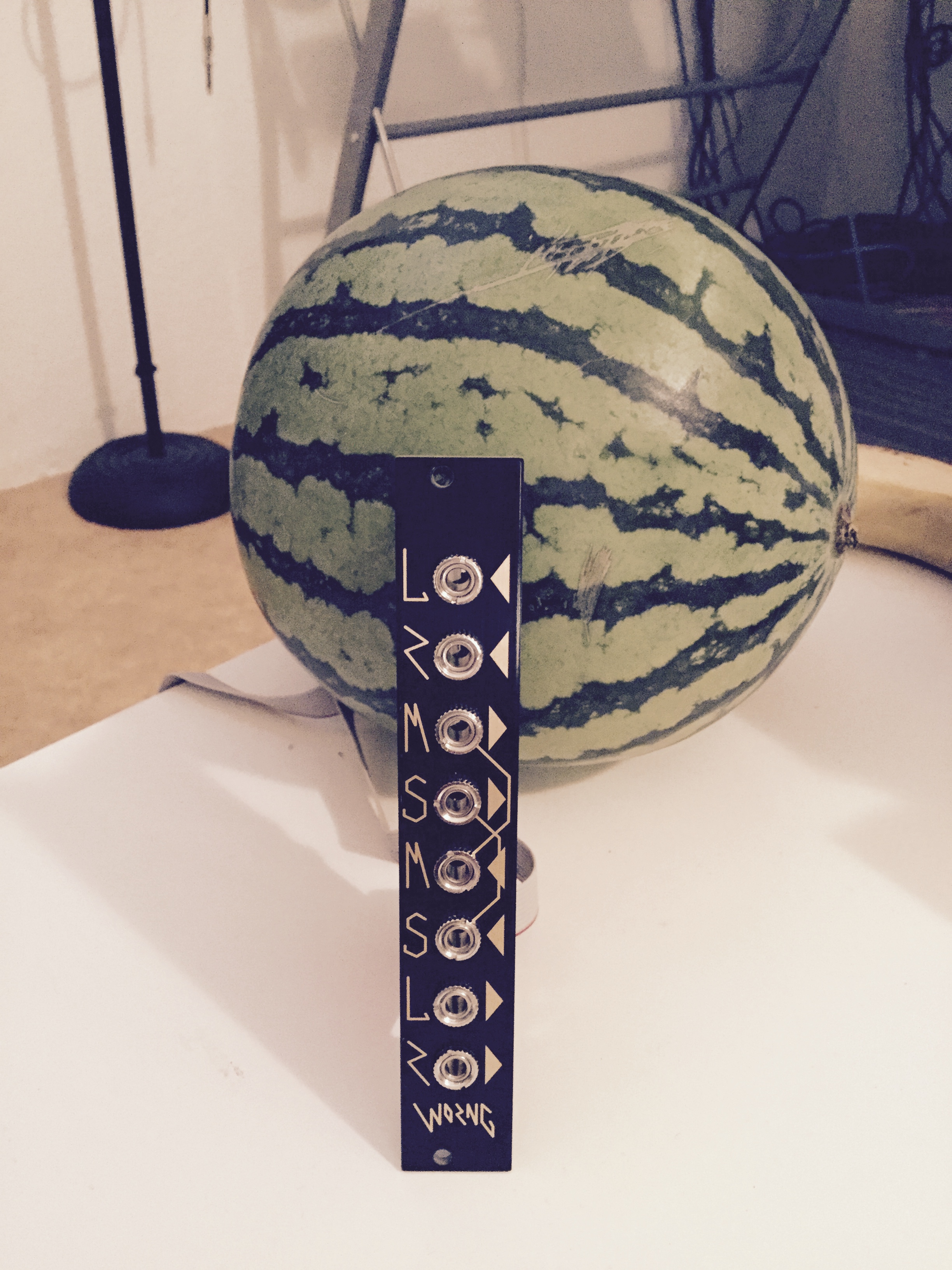 LRMSMSLR Kit by WORNG - MS Eurorack processor