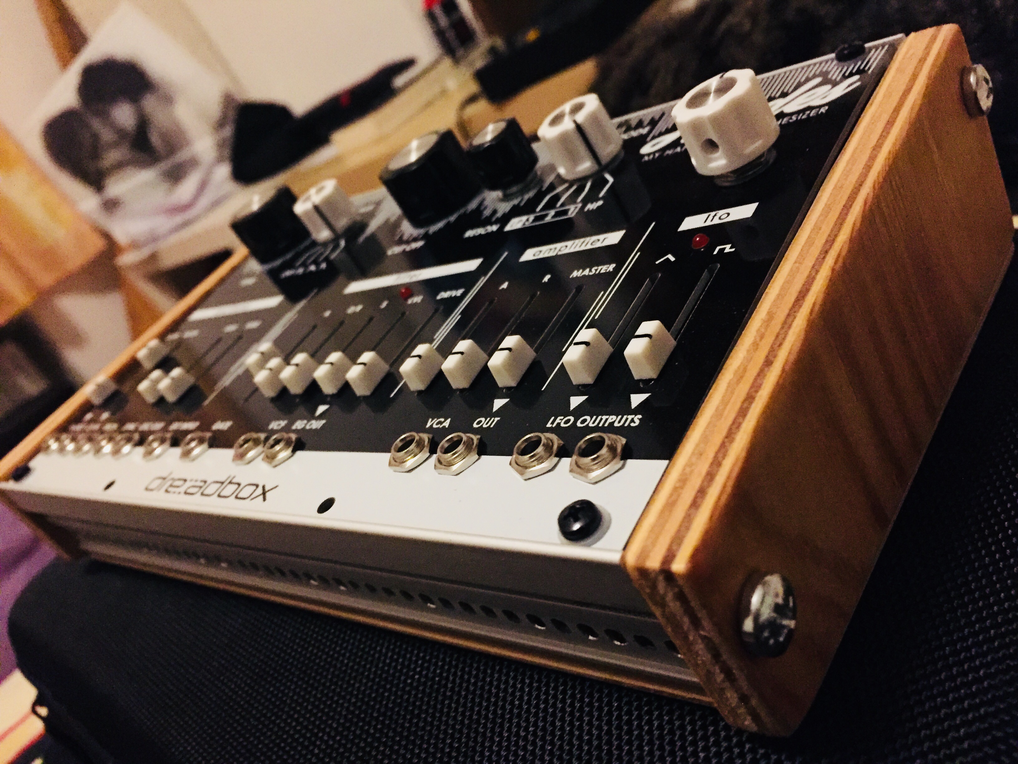 Hades - Analog Synthesizer           Eurorack Kit with handcrafted housing